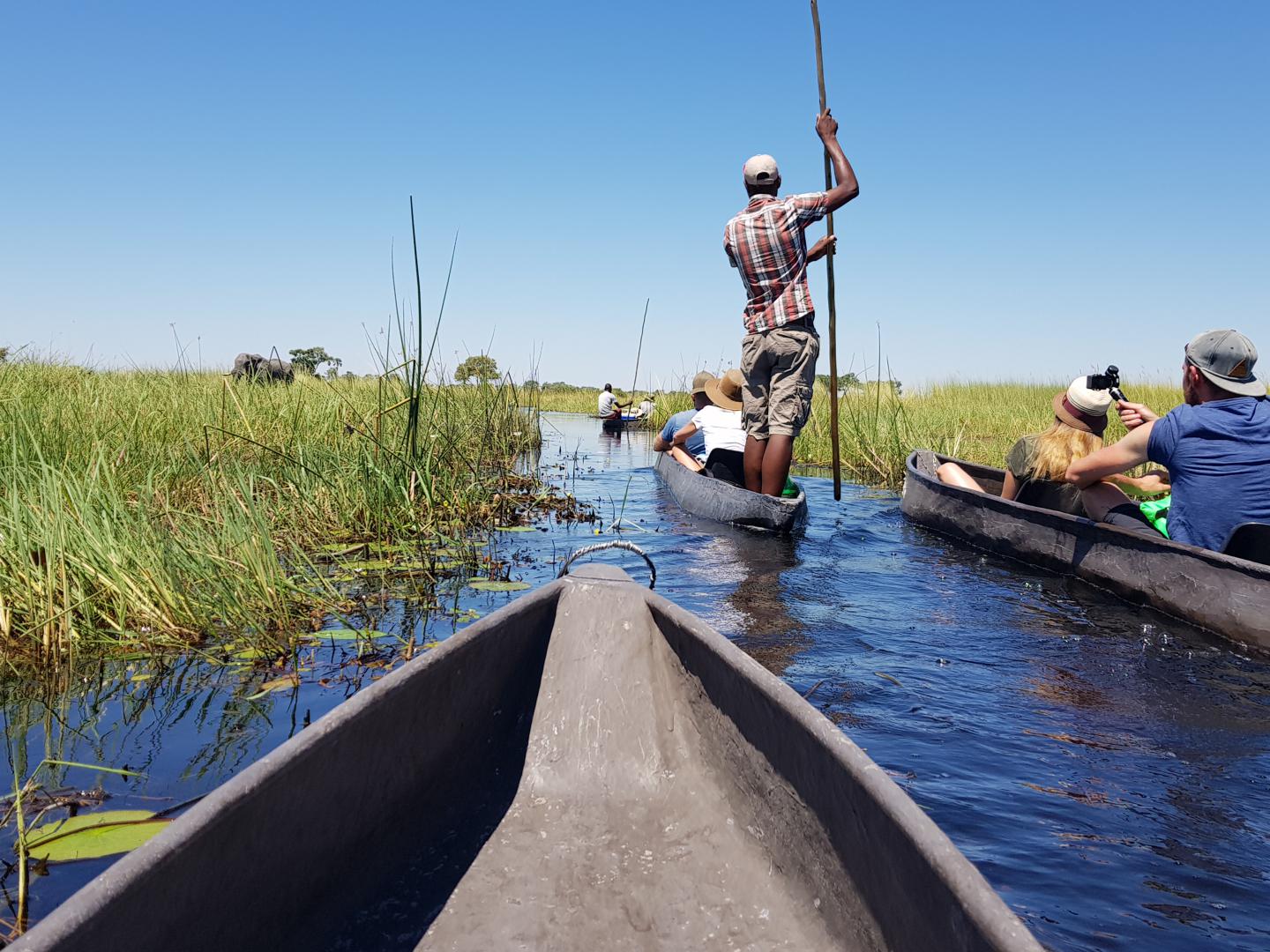 Okavango Delta, Botswana