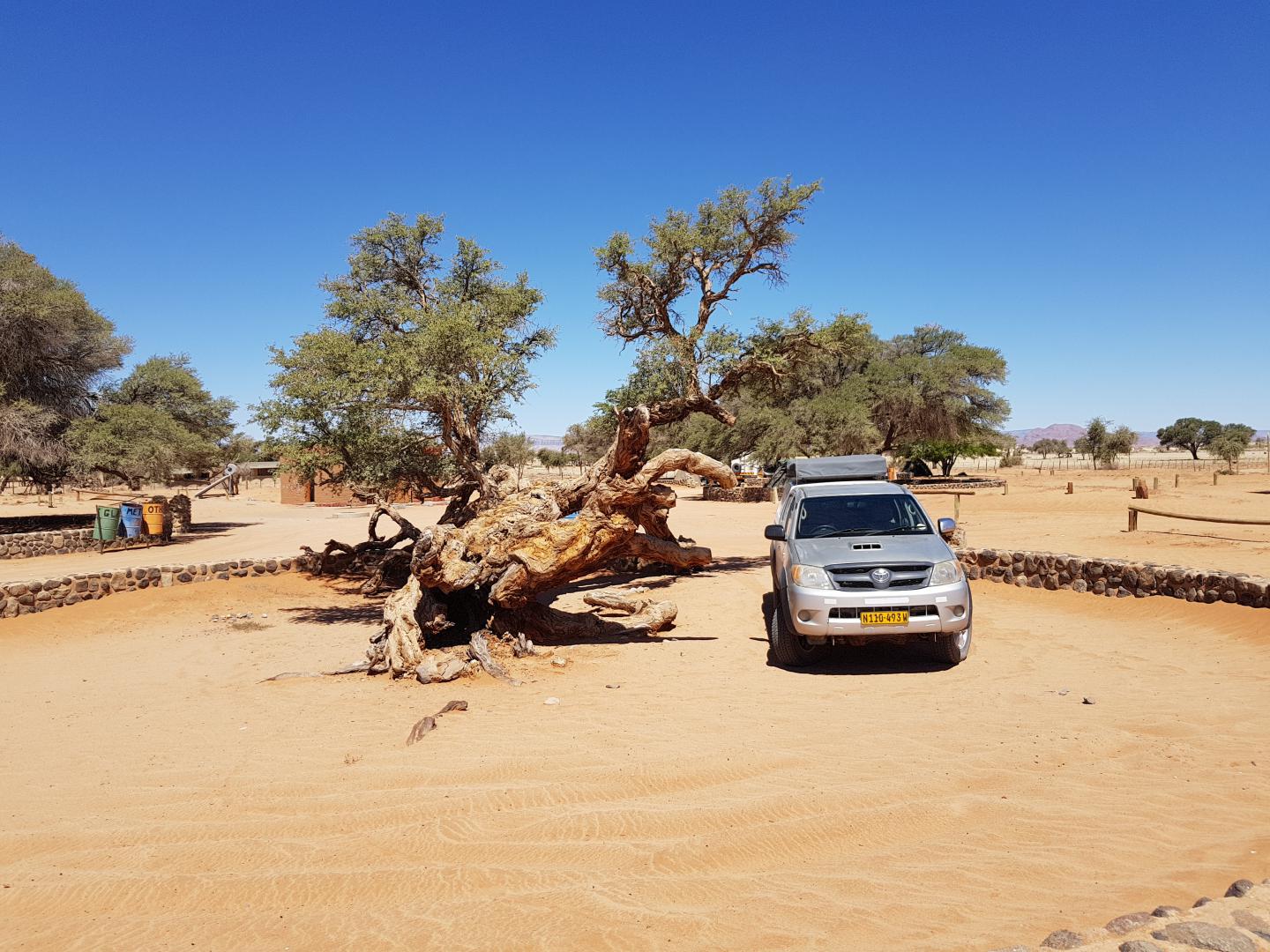 Namibia desert, near Sossusvlei